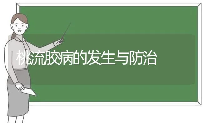 桃流胶病的发生与防治 | 养殖技术大全