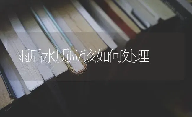 雨后水质应该如何处理 | 养殖技术大全