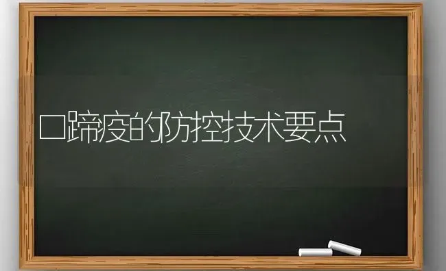 口蹄疫的防控技术要点 | 养殖知识