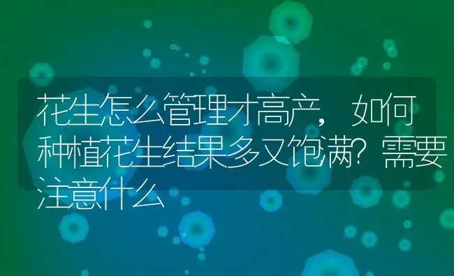 花生怎么管理才高产,如何种植花生结果多又饱满？需要注意什么 | 养殖学堂