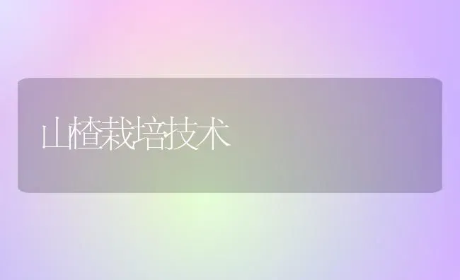 山楂栽培技术 | 养殖知识