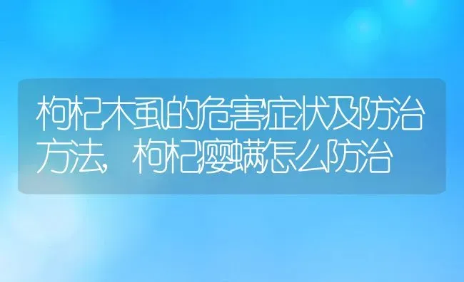 枸杞木虱的危害症状及防治方法,枸杞瘿螨怎么防治 | 养殖学堂