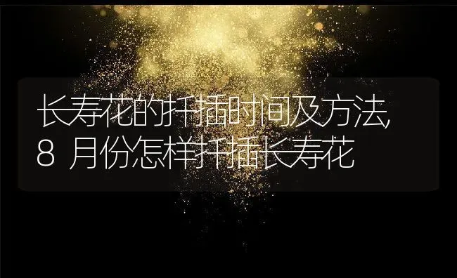 长寿花的扦插时间及方法,8月份怎样扦插长寿花 | 养殖学堂