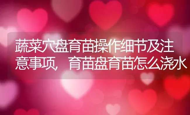 蔬菜穴盘育苗操作细节及注意事项,育苗盘育苗怎么浇水 | 养殖学堂