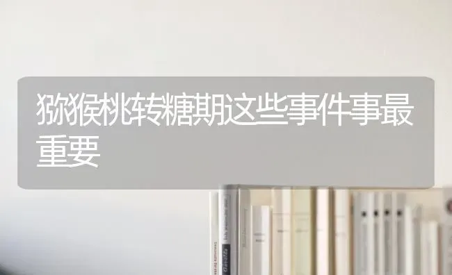 猕猴桃转糖期这些事件事最重要 | 养殖技术大全