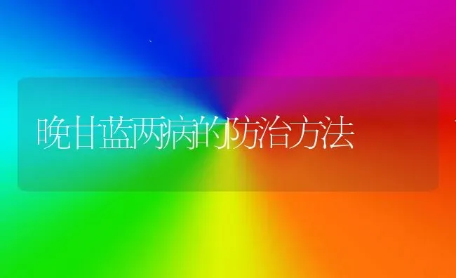 晚甘蓝两病的防治方法 | 养殖技术大全