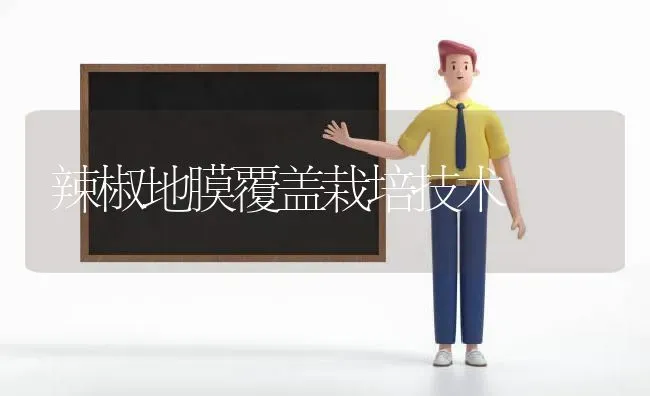 辣椒地膜覆盖栽培技术 | 养殖技术大全