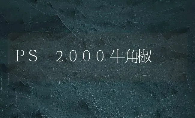 PS-2000牛角椒 | 养殖技术大全