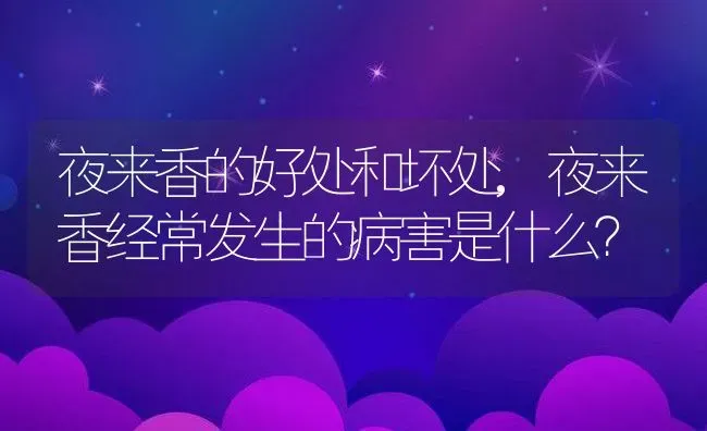 夜来香的好处和坏处,夜来香经常发生的病害是什么？ | 养殖科普