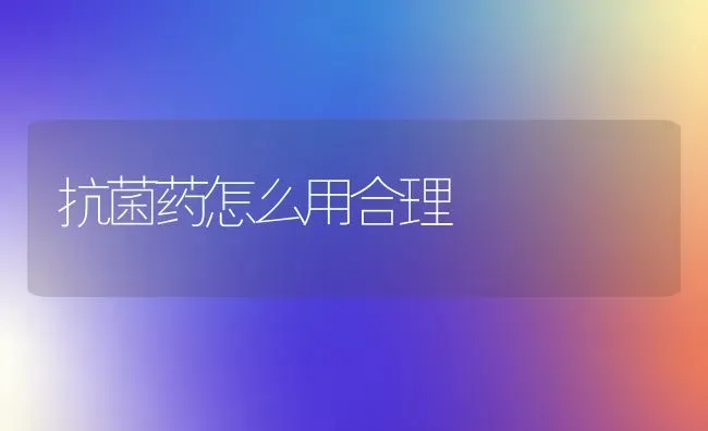 抗菌药怎么用合理 | 养殖知识