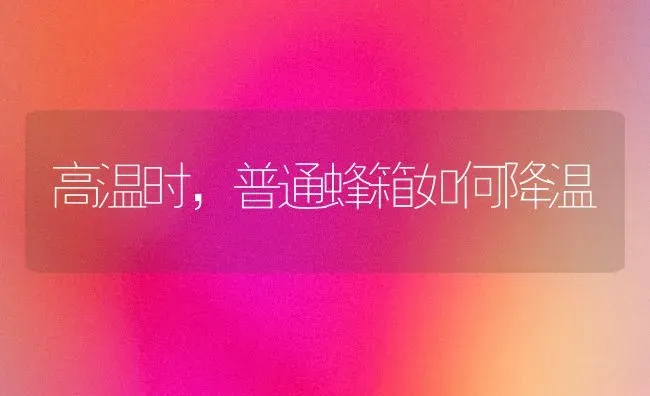 高温时,普通蜂箱如何降温 | 养殖技术大全