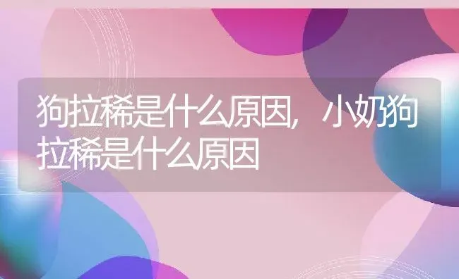 狗拉稀是什么原因,小奶狗拉稀是什么原因 | 养殖科普