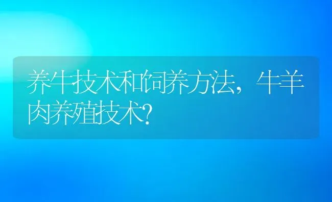 养牛技术和饲养方法,牛羊肉养殖技术？ | 养殖科普