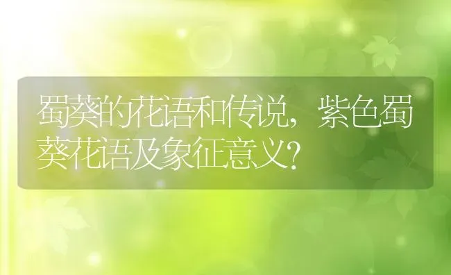 蜀葵的花语和传说,紫色蜀葵花语及象征意义？ | 养殖科普