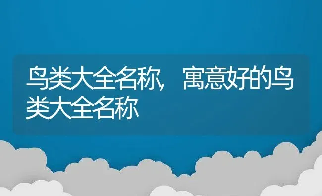 鸟类大全名称,寓意好的鸟类大全名称 | 养殖资料