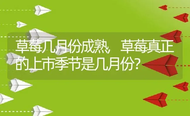 草莓几月份成熟,草莓真正的上市季节是几月份？ | 养殖科普