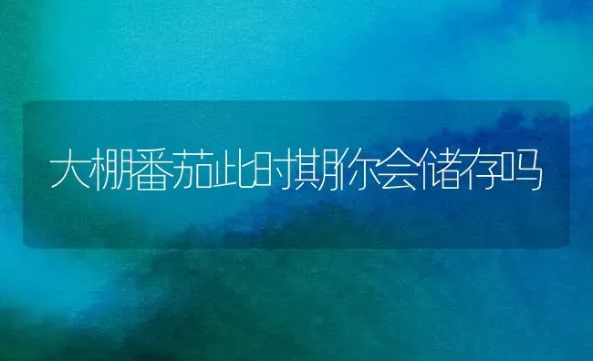 大棚番茄此时期你会储存吗 | 养殖技术大全