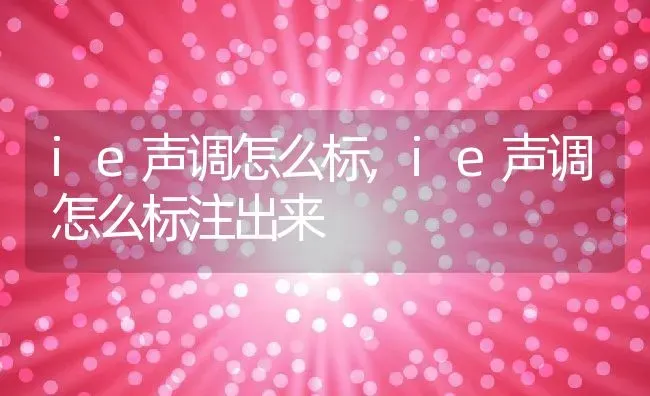 ie声调怎么标,ie声调怎么标注出来 | 养殖资料