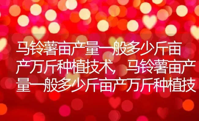 马铃薯亩产量一般多少斤亩产万斤种植技术,马铃薯亩产量一般多少斤亩产万斤种植技术 | 养殖科普