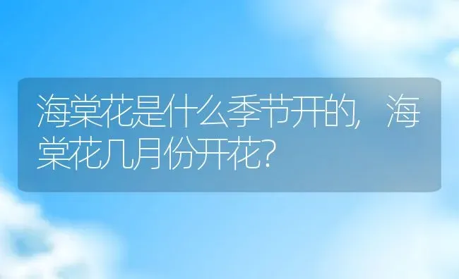 海棠花是什么季节开的,海棠花几月份开花？ | 养殖科普