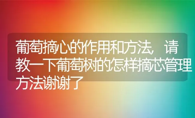 葡萄摘心的作用和方法,请教一下葡萄树的怎样摘芯管理方法谢谢了 | 养殖学堂