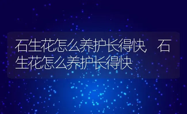 石生花怎么养护长得快,石生花怎么养护长得快 | 养殖科普