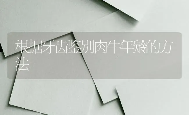 根据牙齿鉴别肉牛年龄的方法 | 养殖知识