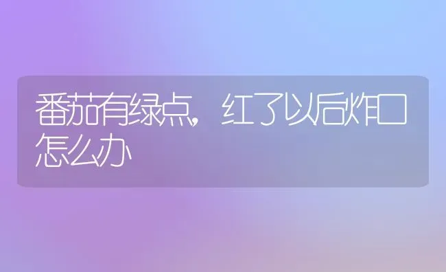 番茄有绿点,红了以后炸口怎么办 | 养殖技术大全