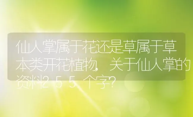 仙人掌属于花还是草属于草本类开花植物,关于仙人掌的资料255个字？ | 养殖科普