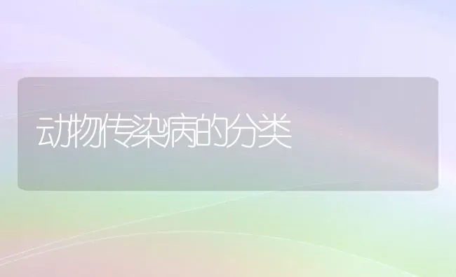 动物传染病的分类 | 养殖技术大全