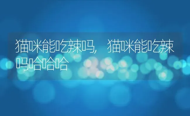 猫咪能吃辣吗,猫咪能吃辣吗哈哈哈 | 养殖科普