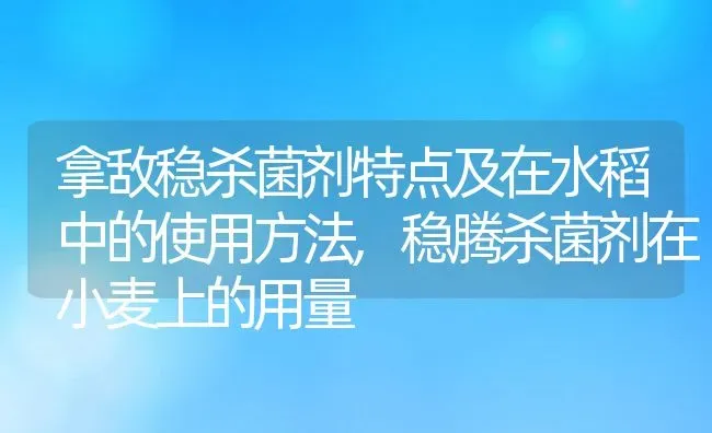 拿敌稳杀菌剂特点及在水稻中的使用方法,稳腾杀菌剂在小麦上的用量 | 养殖学堂