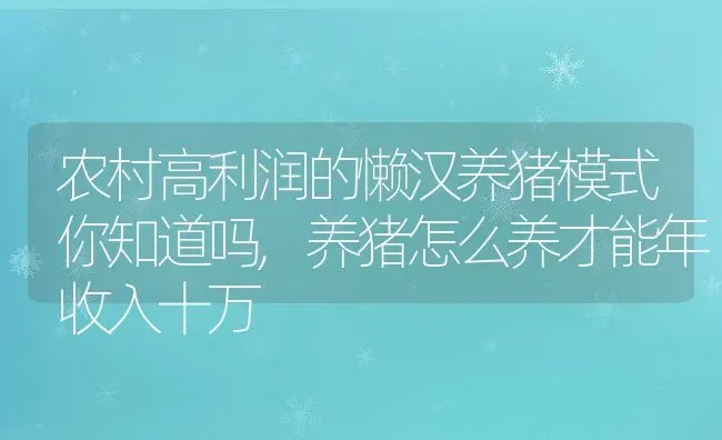 农村高利润的懒汉养猪模式你知道吗,养猪怎么养才能年收入十万 | 养殖学堂