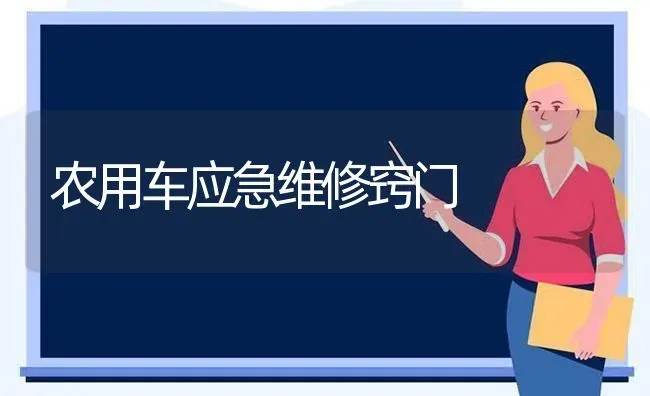 农用车应急维修窍门 | 养殖知识