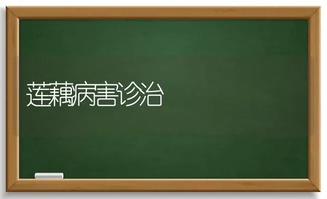 莲藕病害诊治 | 养殖技术大全
