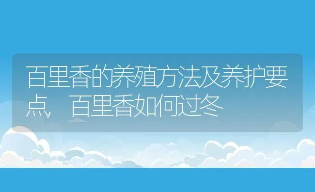 百里香的养殖方法及养护要点,百里香如何过冬 | 养殖学堂