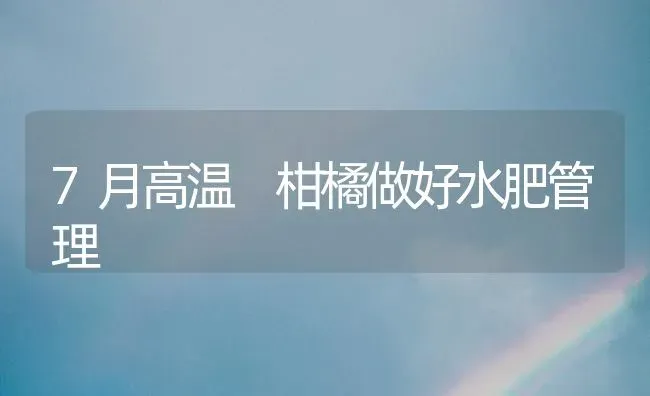 7月高温 柑橘做好水肥管理 | 养殖技术大全