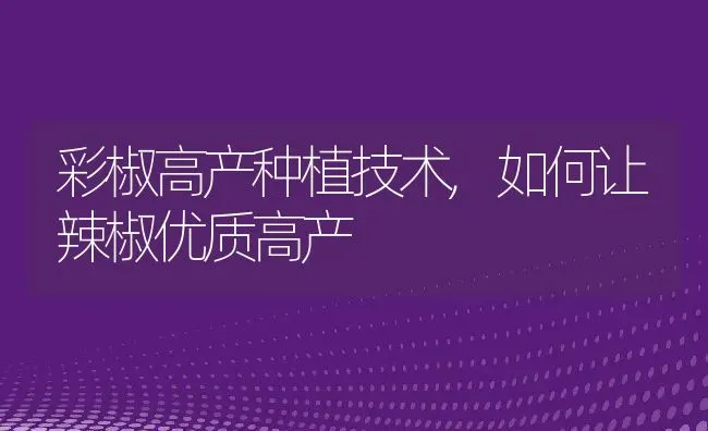 彩椒高产种植技术,如何让辣椒优质高产 | 养殖学堂