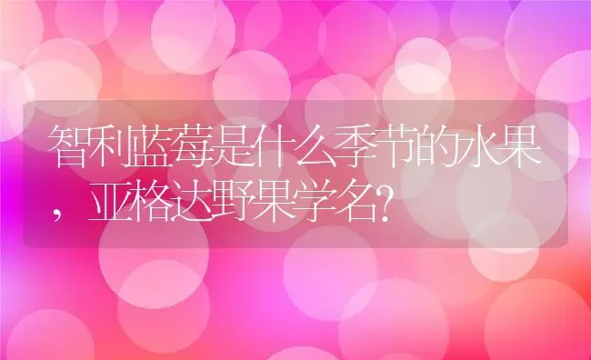 智利蓝莓是什么季节的水果,亚格达野果学名？ | 养殖科普