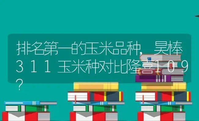 排名第一的玉米品种,昊棒311玉米种对比隆喜109？ | 养殖科普