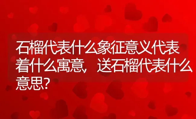 石榴代表什么象征意义代表着什么寓意,送石榴代表什么意思？ | 养殖科普