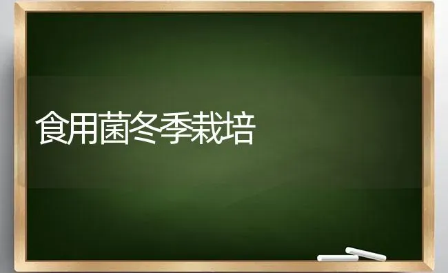 食用菌冬季栽培 | 养殖知识