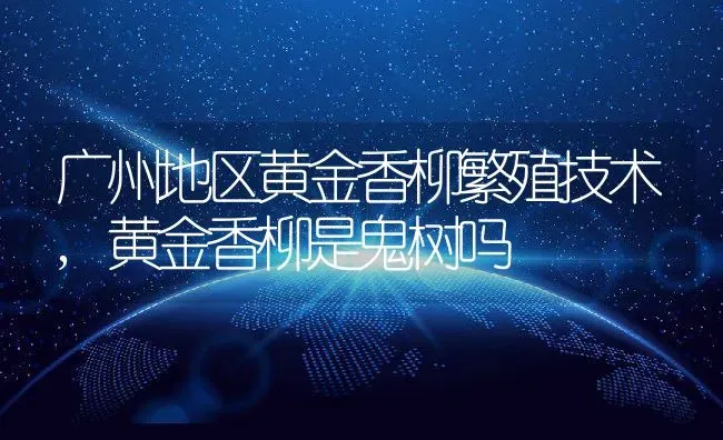 广州地区黄金香柳繁殖技术,黄金香柳是鬼树吗 | 养殖学堂