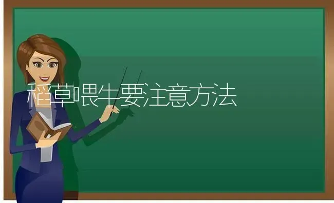 稻草喂牛要注意方法 | 养殖技术大全