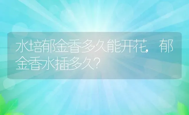 水培郁金香多久能开花,郁金香水插多久？ | 养殖科普