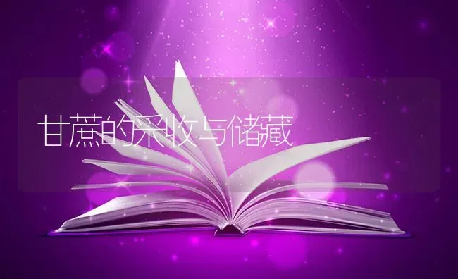 甘蔗的采收与储藏 | 养殖技术大全