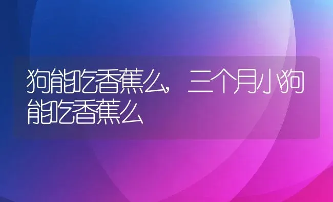 狗能吃香蕉么,三个月小狗能吃香蕉么 | 养殖科普