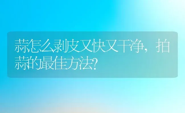 蒜怎么剥皮又快又干净,拍蒜的最佳方法？ | 养殖学堂