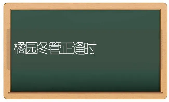 橘园冬管正逢时 | 养殖知识