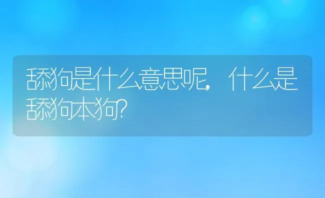 舔狗是什么意思呢,什么是舔狗本狗？ | 养殖科普